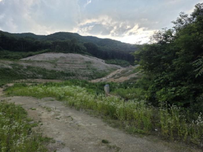 경북 성주군 금수강산면 후평리 산74-12
