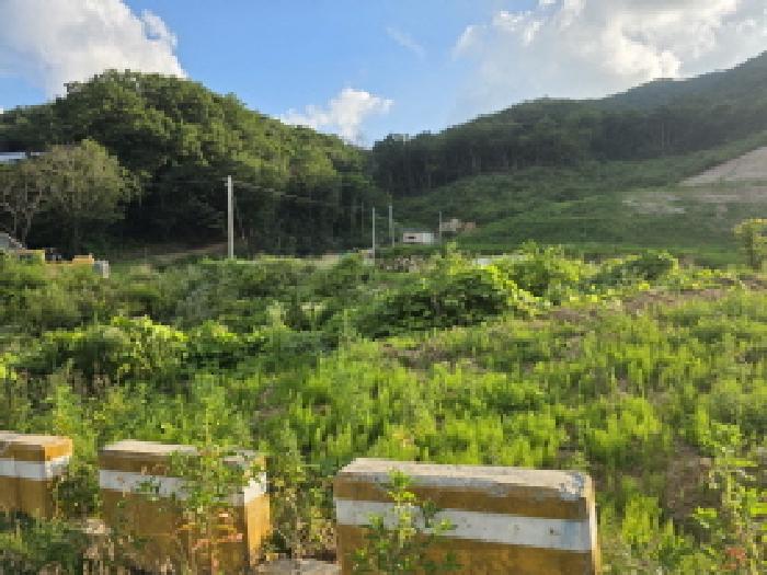경북 성주군 금수강산면 후평리 산74-5