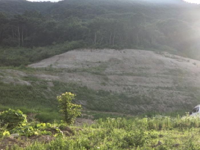 경북 성주군 금수강산면 후평리 산74-11