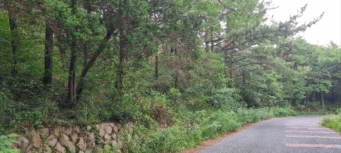 기호 3 토지 전경