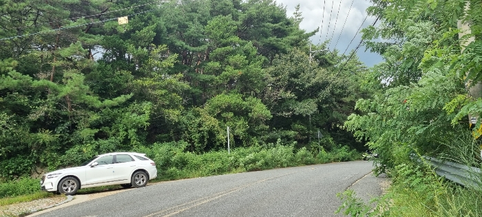 기호 3 토지 전경