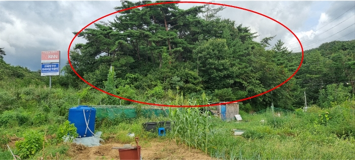 기호 3 토지 전경