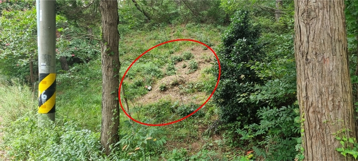 기호 3 토지 내 분묘