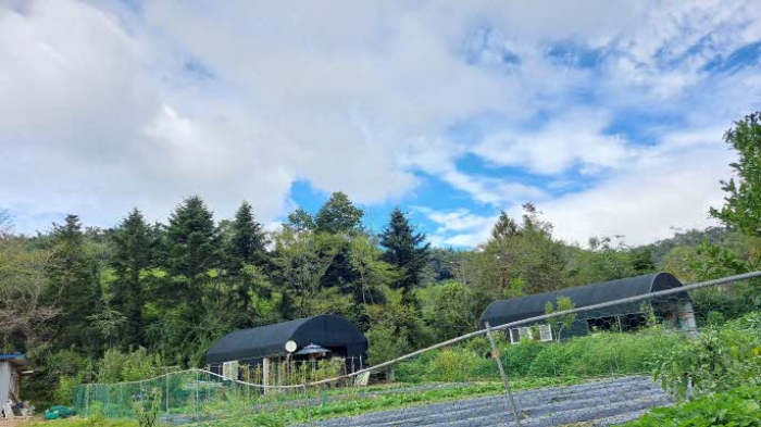 목록2. 본건 전경(부산외곽순환도로와 줄지어 있는 나무들 사이의 임야로 추정됨)  