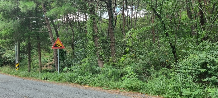 기호 1 토지 전경