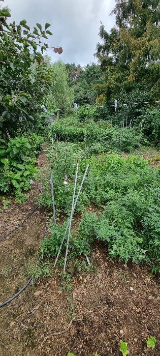 기호 2 토지 전경