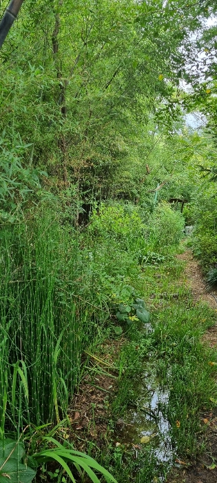 기호 2 토지 전경