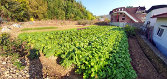 기호3 토지 및 주변전경