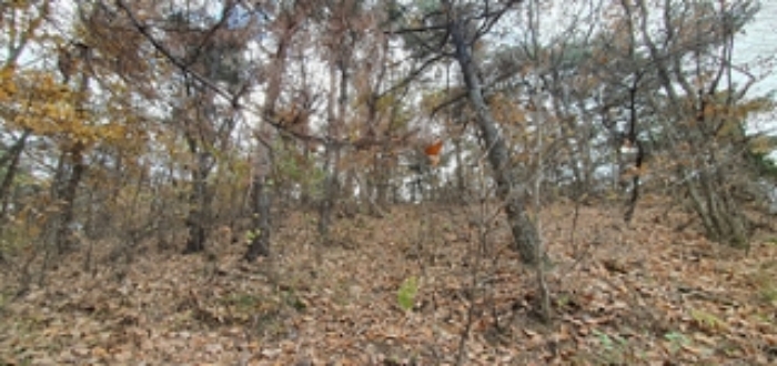 기호 3 토지 전경