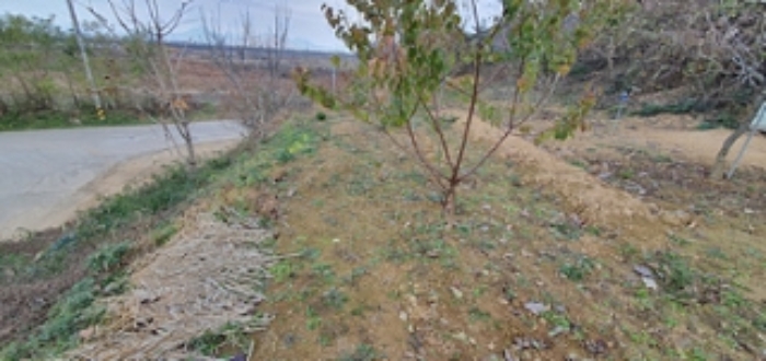 기호 10 토지 전경