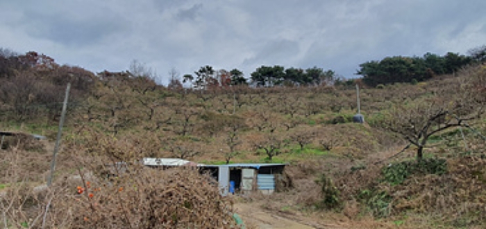 기호 12 토지 전경