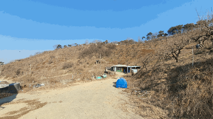 본건 기호(2) 토지 주변환경