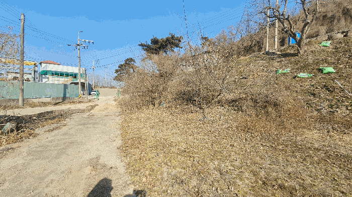 본건 기호(8) 토지 전경