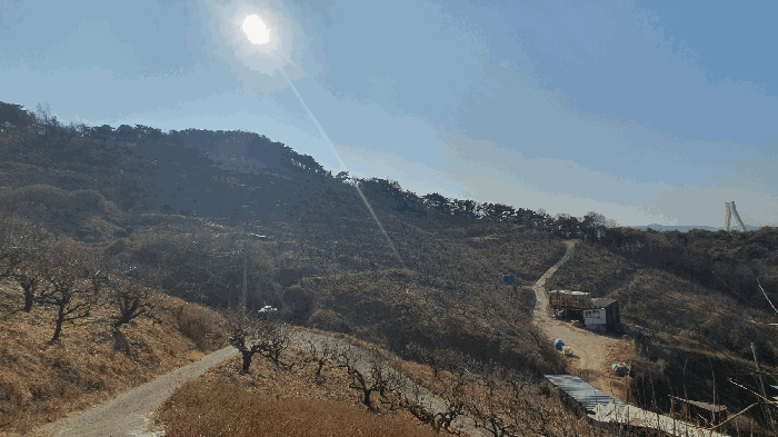 본건 기호(2) 토지 전경