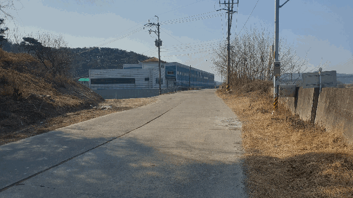 본건 기호(9) 토지 전경