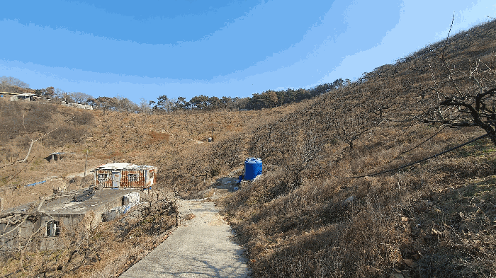 본건 기호(2) 토지 주변환경