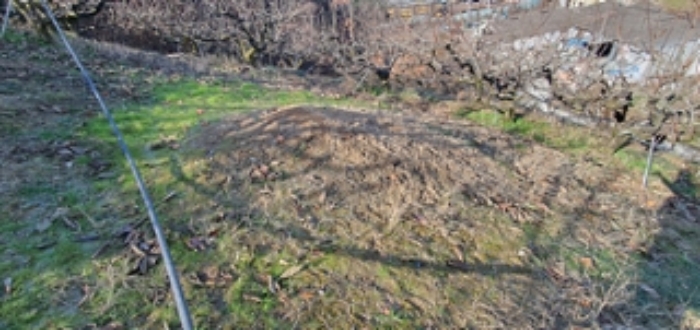 기호 2 토지 지상에 분묘 