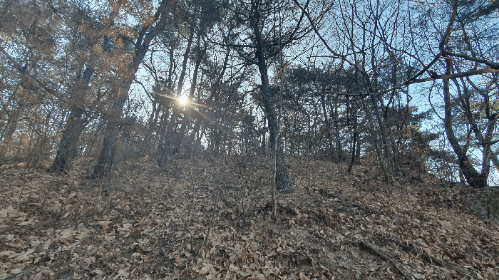 본건 기호(3) 토지 전경