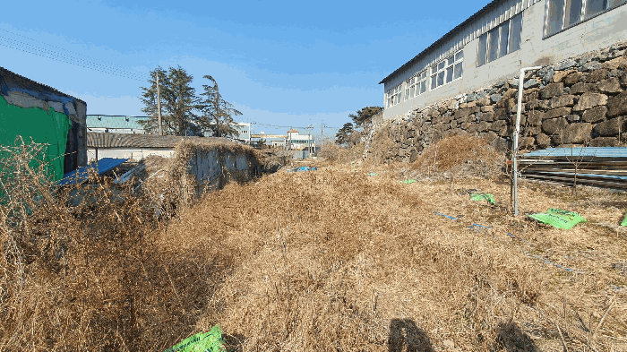 본건 기호(11) 토지 전경