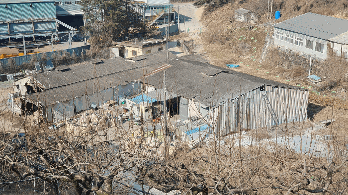 본건 기호(6) 토지 전경