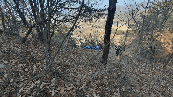 본건 기호(3) 토지 주변환경