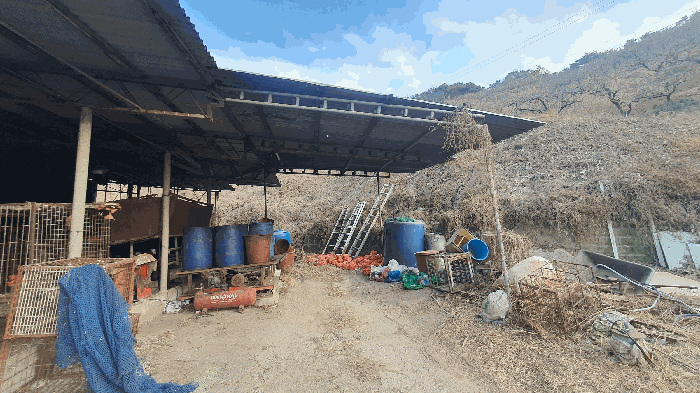 제시외 건물(1-13) 전경