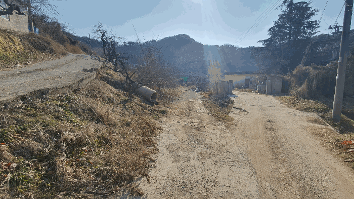 본건 기호(8) 토지 주변환경