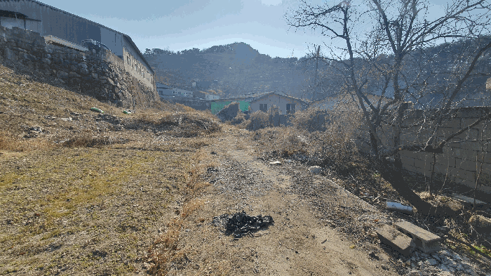 본건 기호(8) 토지 주변환경