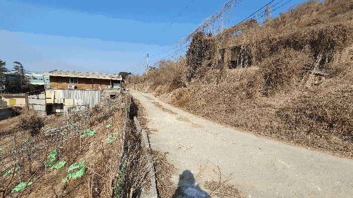 본건 기호(1) 토지 주변환경