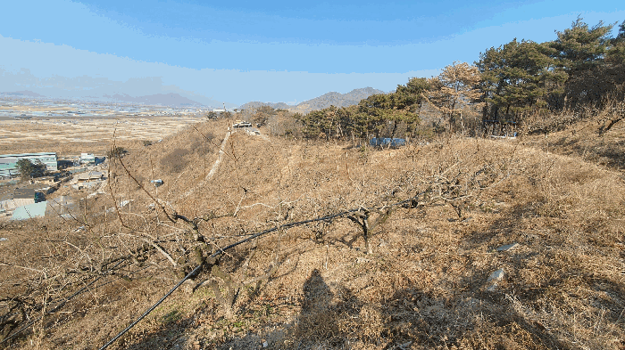 본건 기호(12) 토지 전경