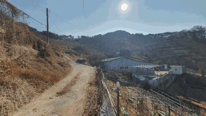 본건 기호(1) 토지 주변환경