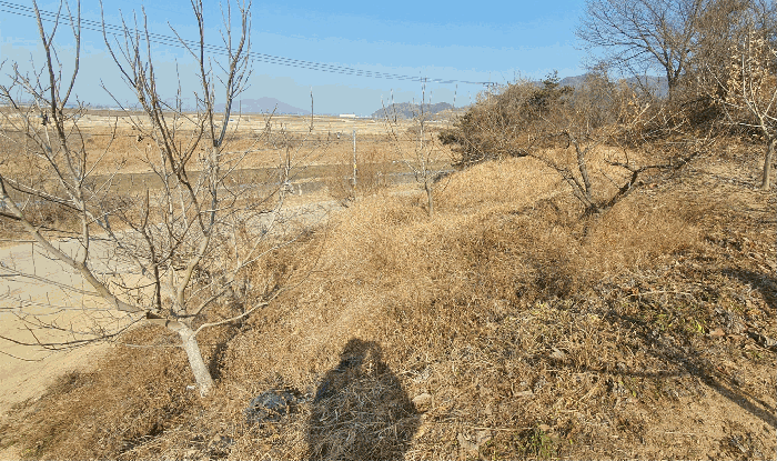 본건 기호(10) 토지 전경