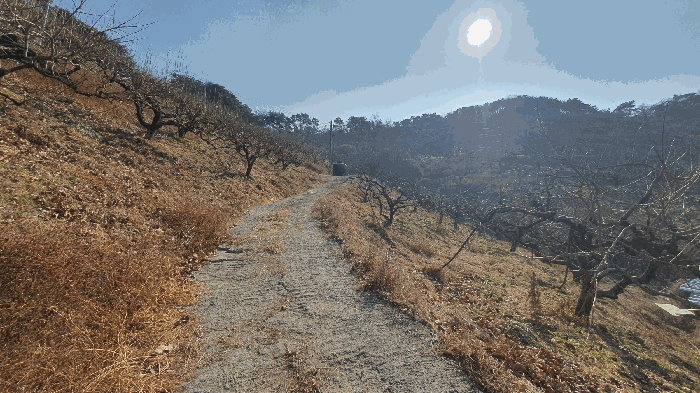 본건 기호(12) 토지 주변환경