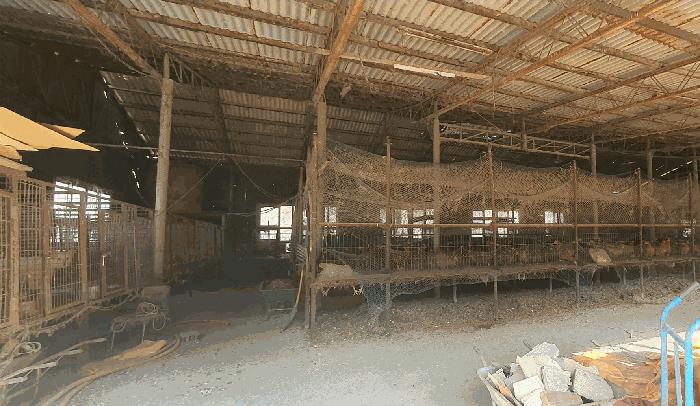 본건 기호(4) 건물 내부