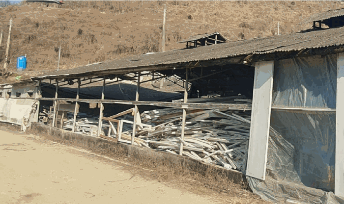 본건 기호(5).다 건물 내부