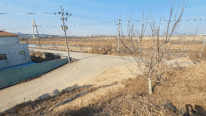 본건 기호(10) 토지 주변환경