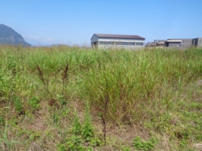 소재지9(상모리 834-11) 전경 사진