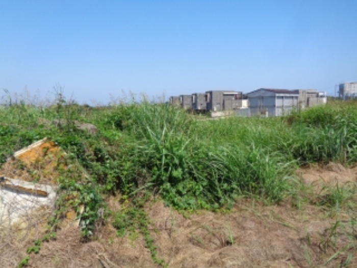 소재지2(상모리 834-4) 전경 사진