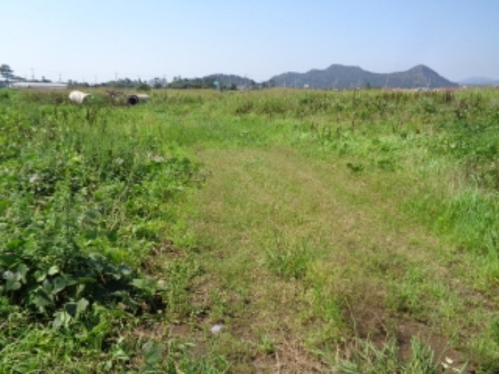 소재지12(상모리 834-14) 전경 사진