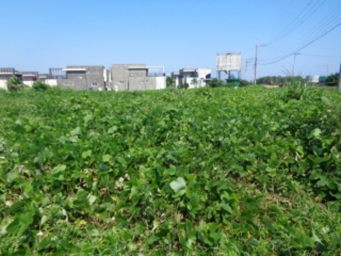 소재지13(상모리 834-15) 전경 사진