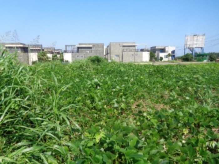 소재지14(상모리 834-16) 전경 사진