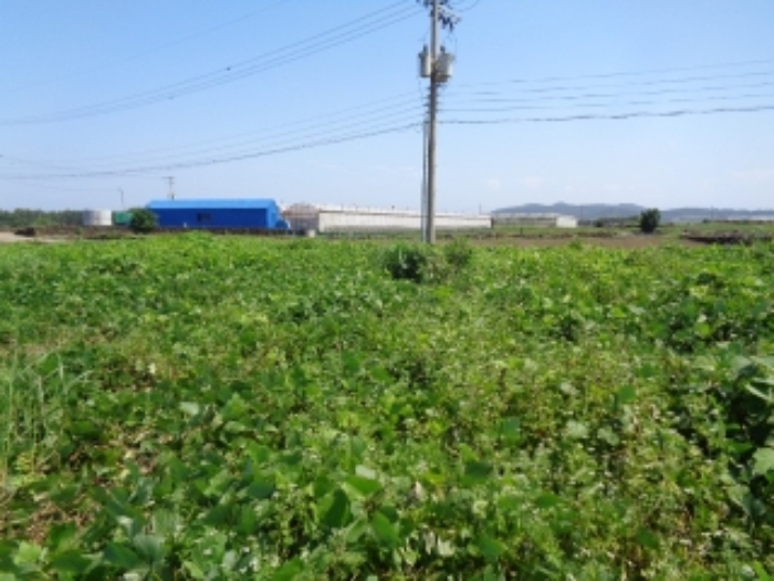 소재지15(상모리 834-17) 전경 사진