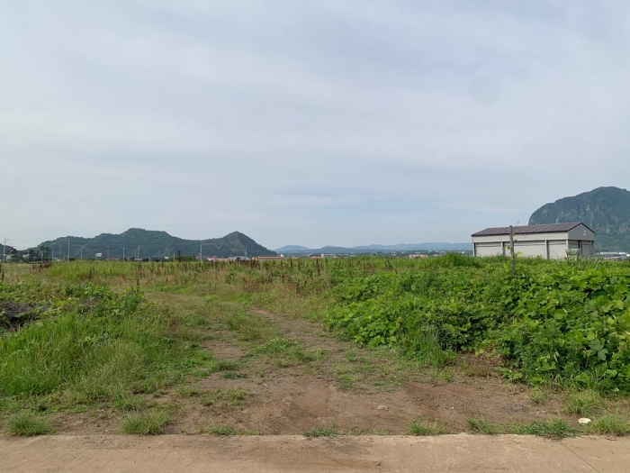 본건 전경
