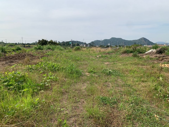 일련번호 1,2) 전경