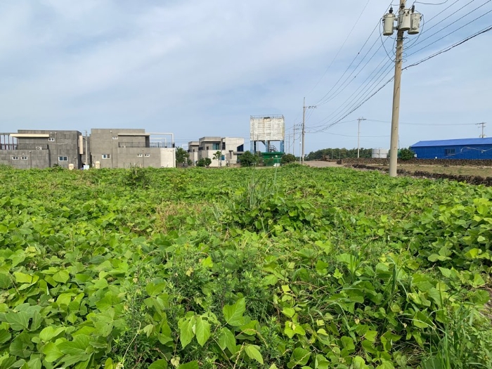 일련번호 12-15) 전경