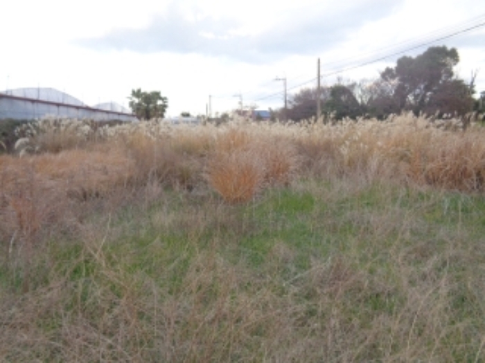 소재지1(상대리 3444) 전경 사진