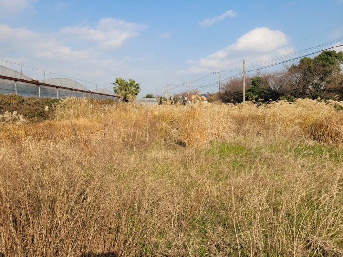 기호(1) 전경(방치부분)