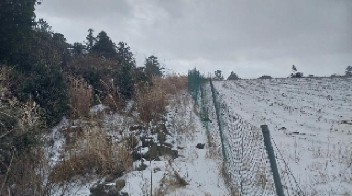 소재지1(송당리 867) 전경2