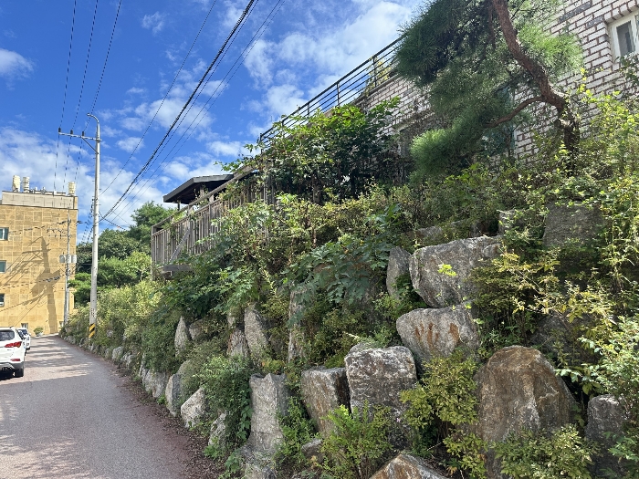 주위환경(서측도로)