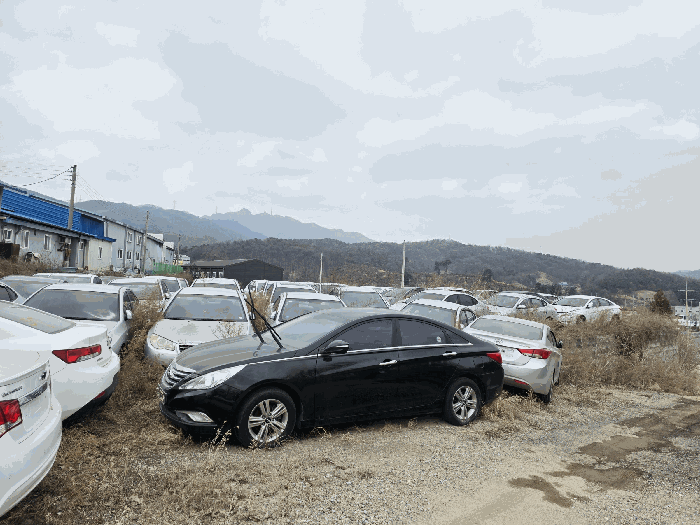 기호(1)토지 남측 부분 전경